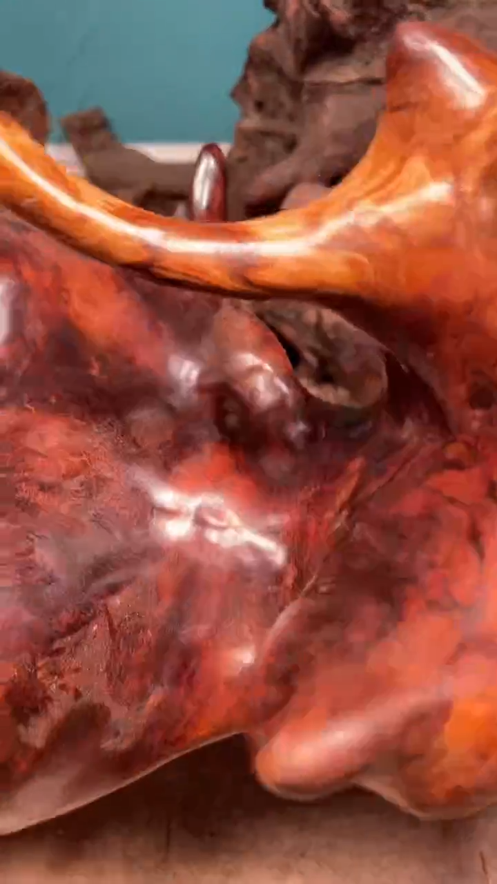 其他黄花梨/降香黄檀原木定制不退不换