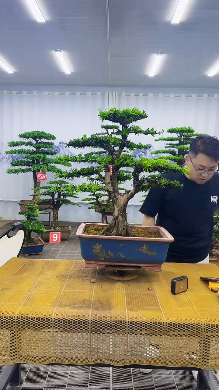 无花朵00000000000