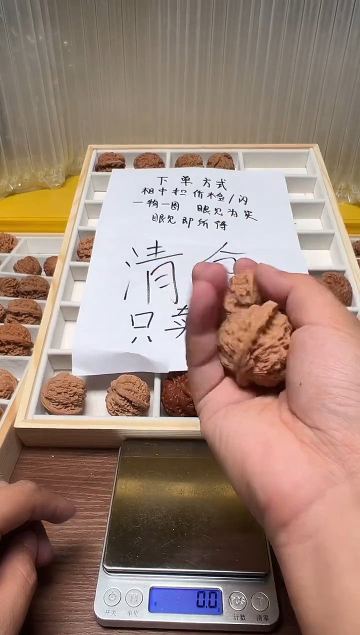 把件文玩核桃大*44白狮子