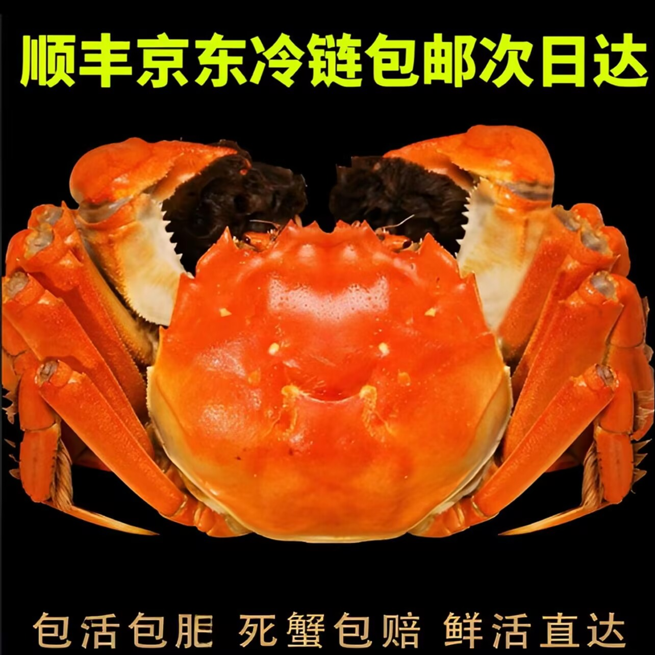 【活蟹】现捞现发 公4.0-3.5 母3.0-2.5 6/8/10只 今天拍明天到