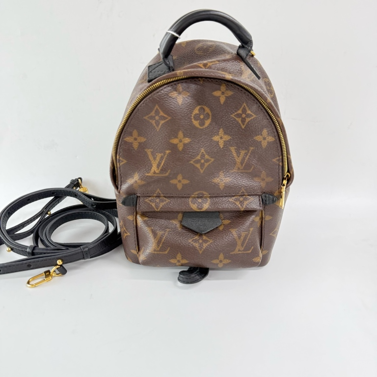 95新 LouisVuitton/路易威登 安洁利知之 LV老花双肩包 502075H