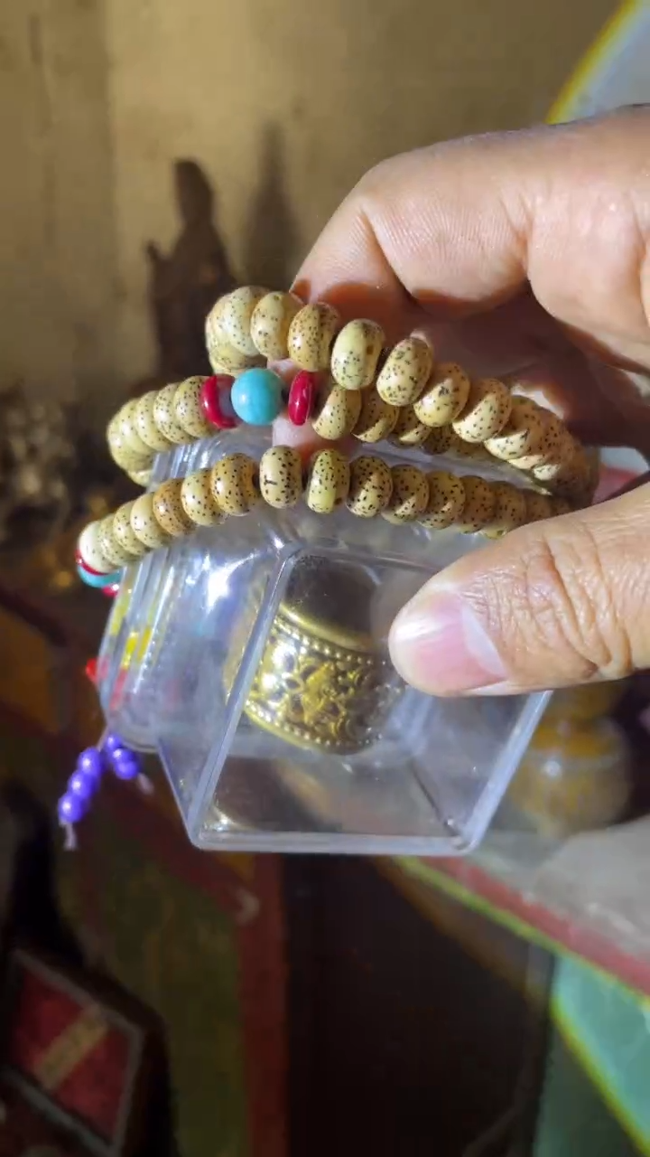 【闪购商品】菩提根/象牙果把件精品好物 好物菩提