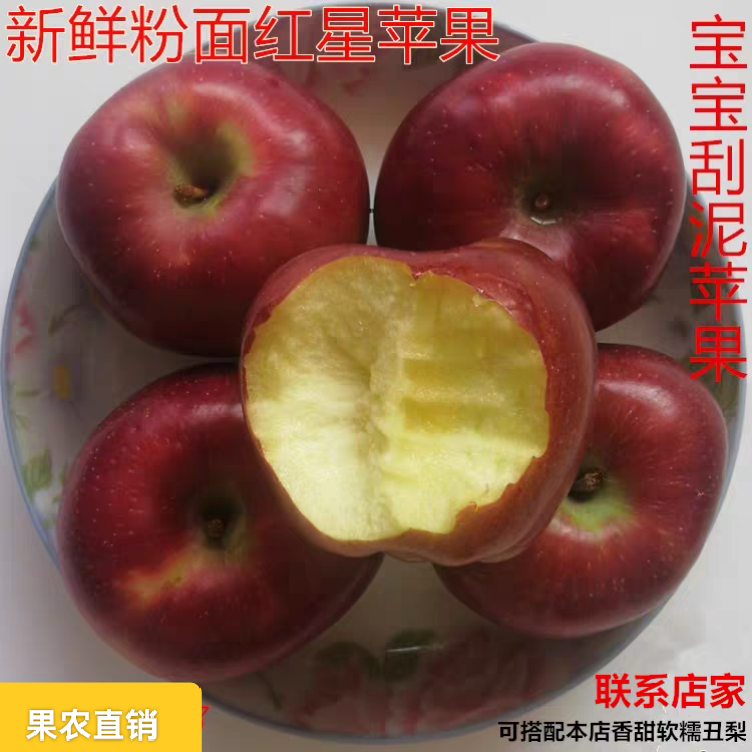山西隰县红星苹果现摘新鲜粉面沙苹果宝宝老人吃的婴儿刮泥水果