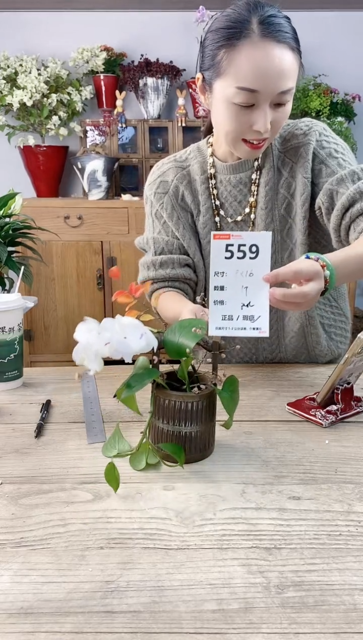 小玩子花盆直播号559