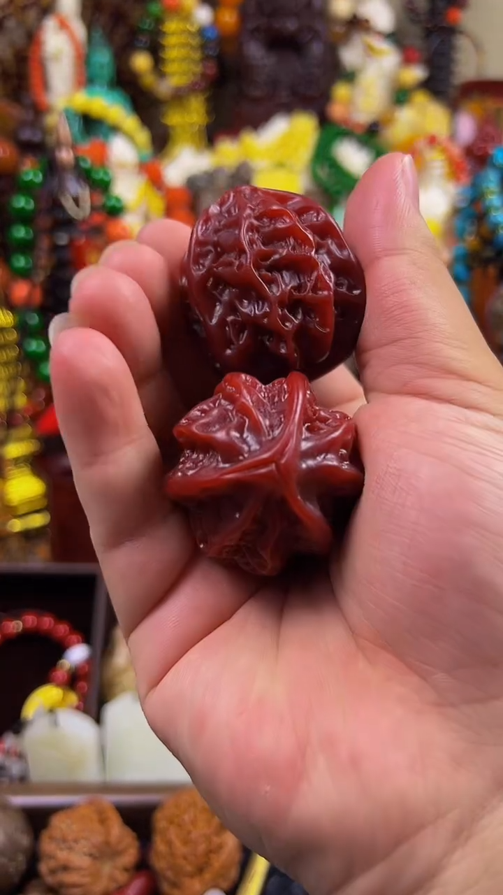 把件贝壳主播推荐！主播推荐！！！