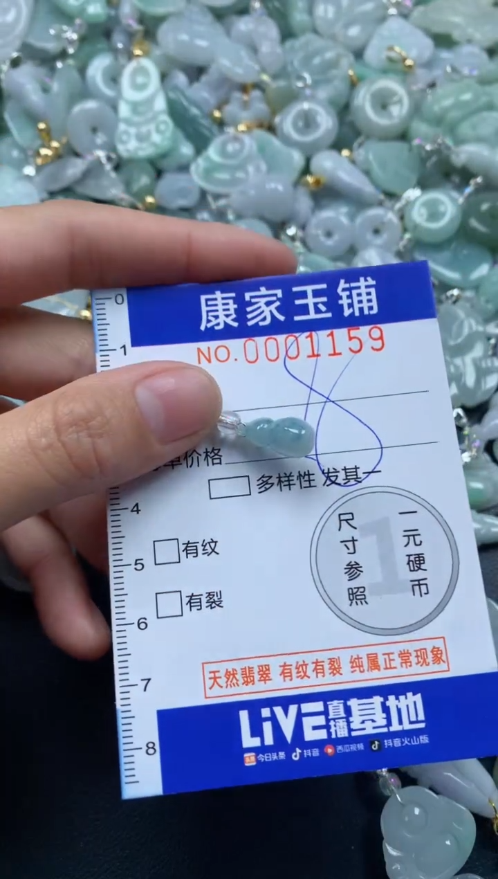 颈饰未镶嵌翡翠1159