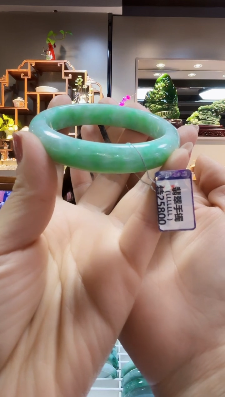 【闪购商品】翡翠颈饰未镶嵌手镯58.9