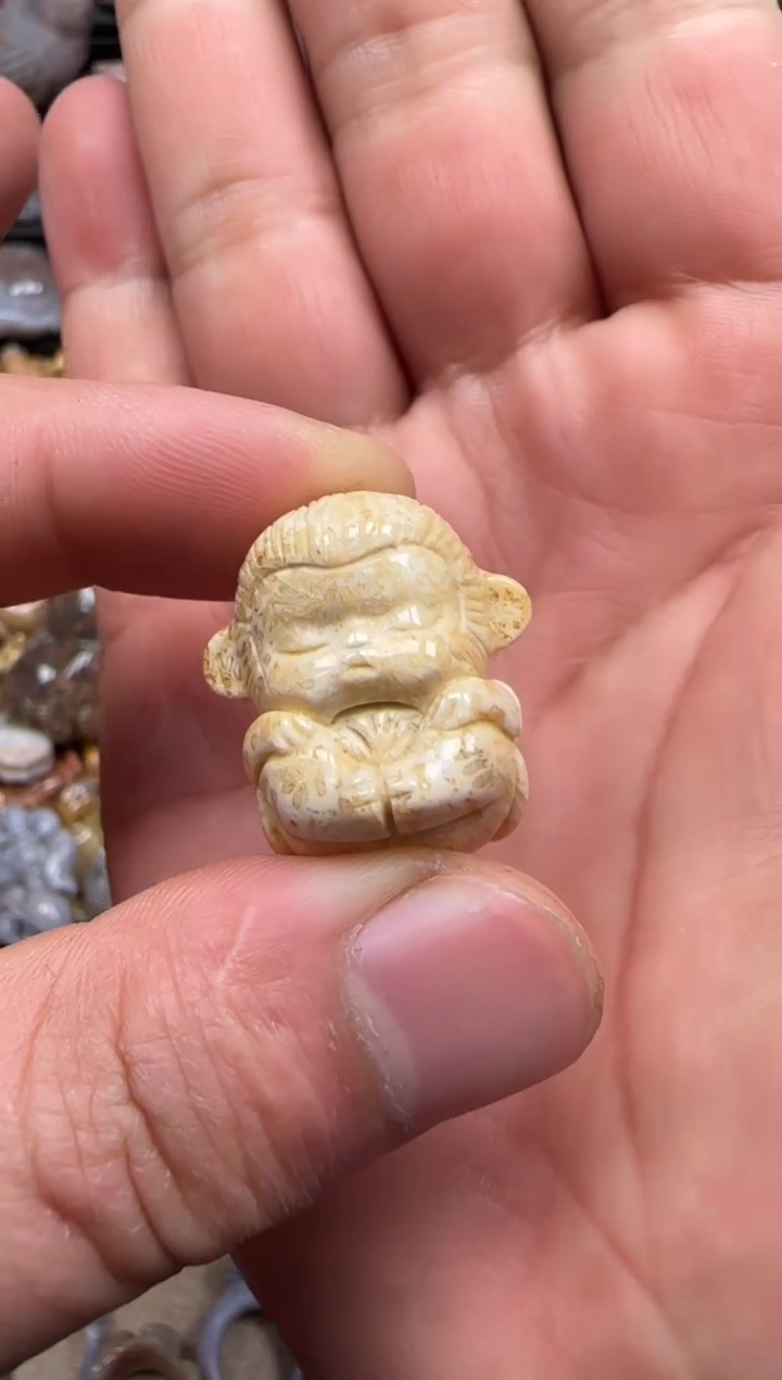 【闪购商品】硅化珊瑚（珊瑚玉）颈饰未镶嵌555