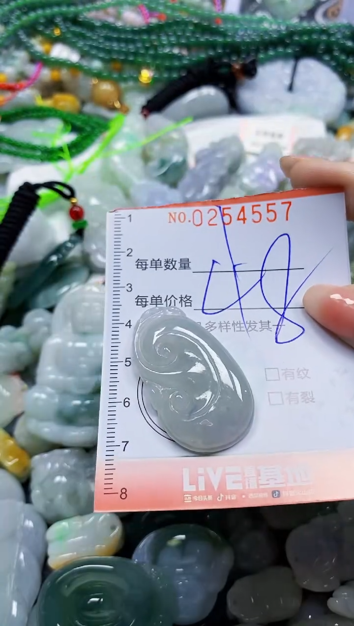 颈饰未镶嵌翡翠闪购0254557