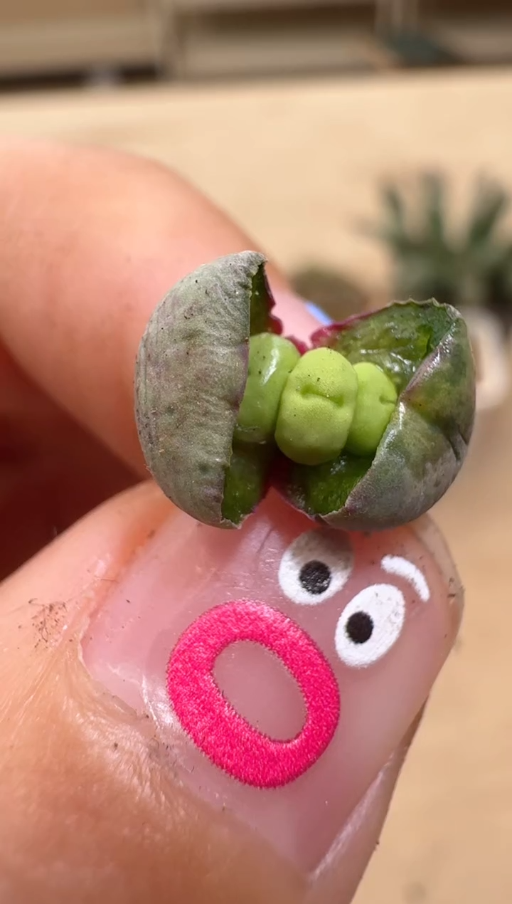 【闪购商品】16-18