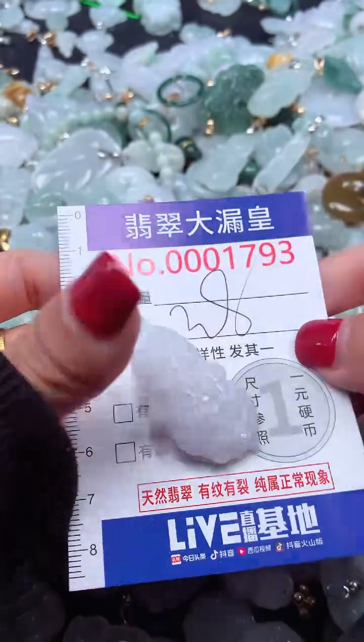 颈饰未镶嵌翡翠1793
