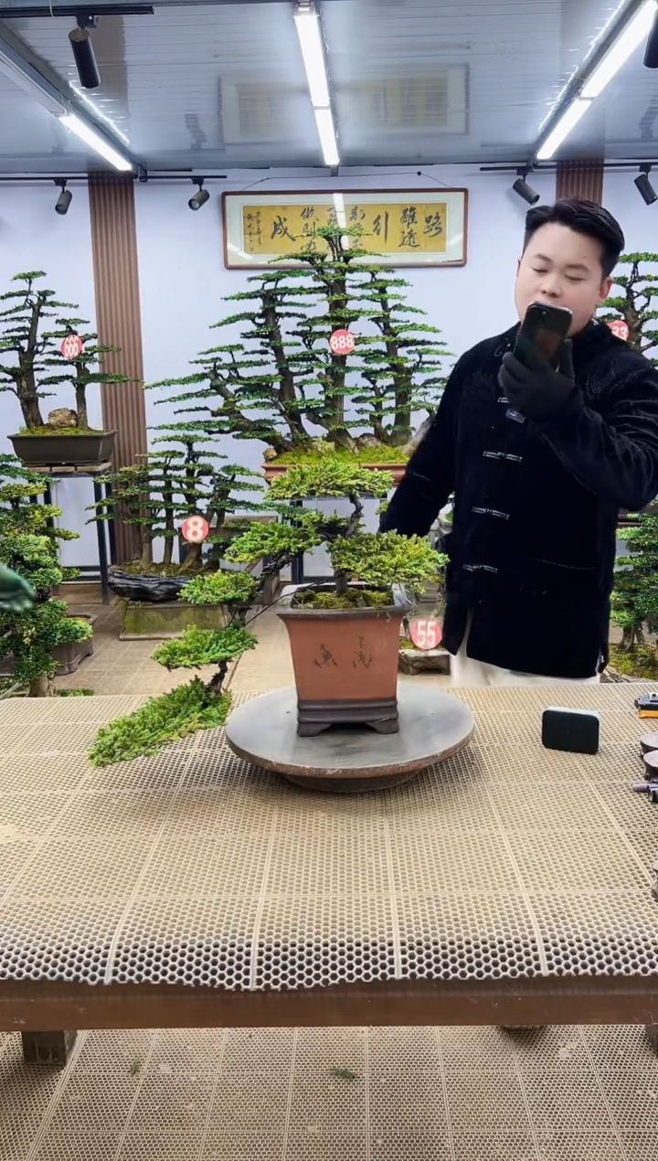 【闪购商品】00000000