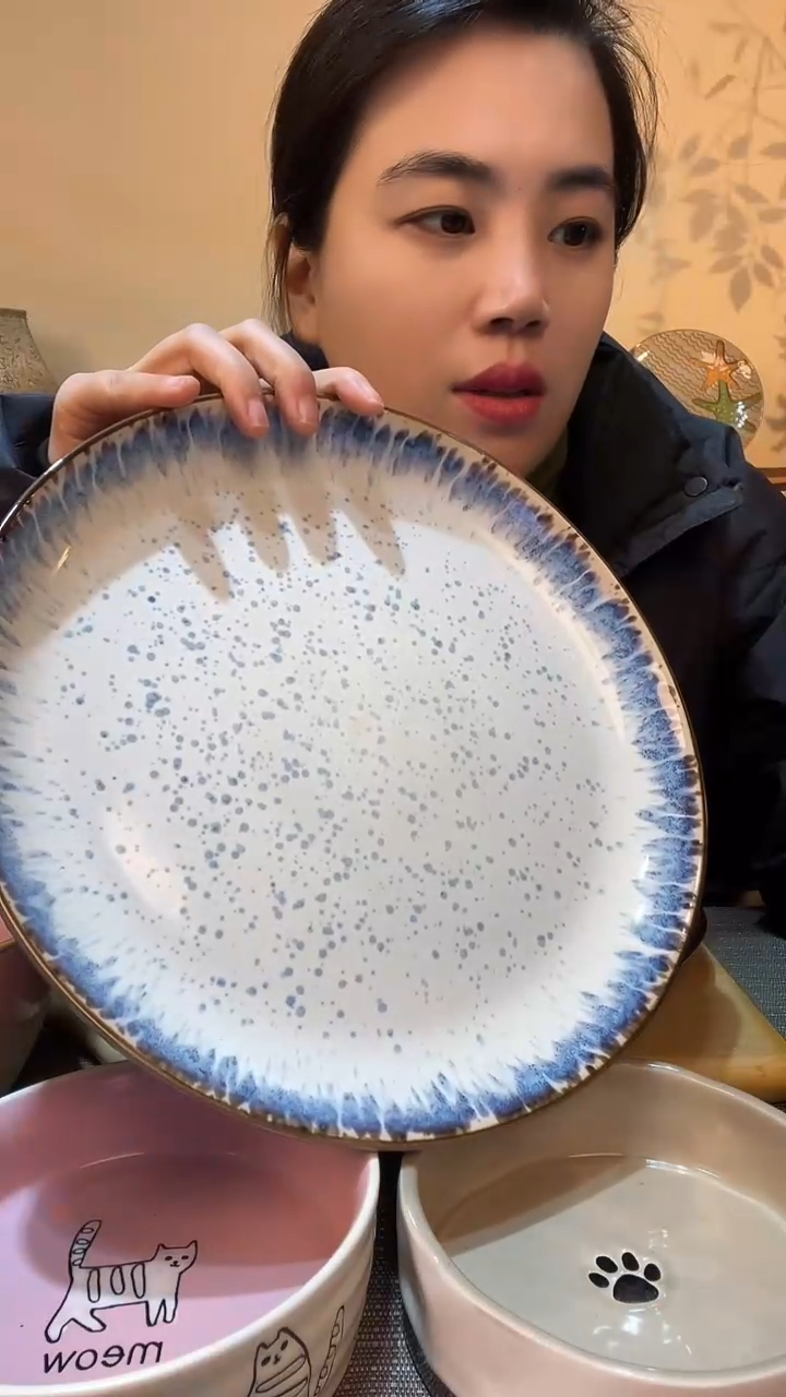 【闪购商品】瓷片10.5英寸盘 微瑕介意勿拍