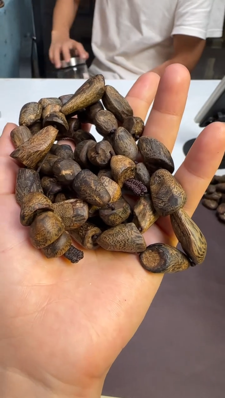 手串沉香9年窖藏沉水海南奇楠壳子树丁长串63g+