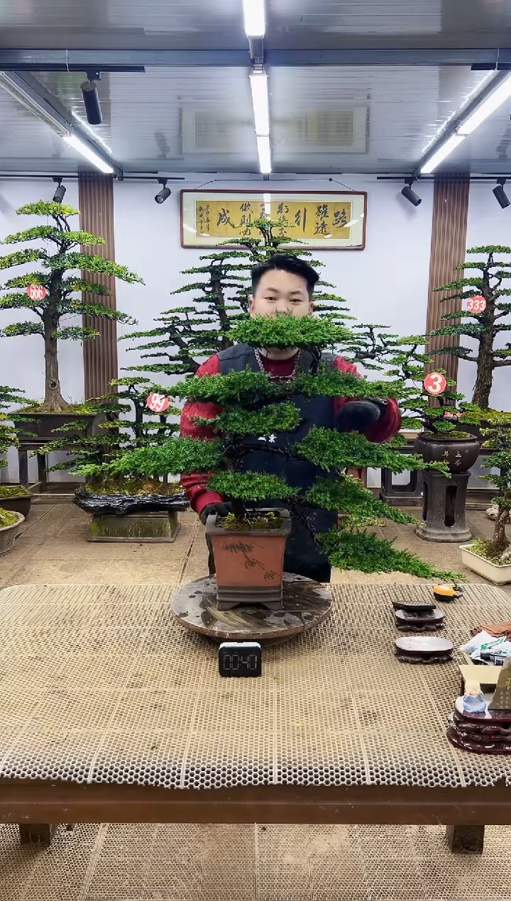 【闪购商品】000000000