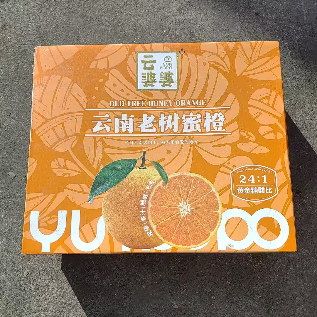 陆-正宗云南玉溪老树蜜橙 纯甜无酸 6斤礼盒 爆甜多汁