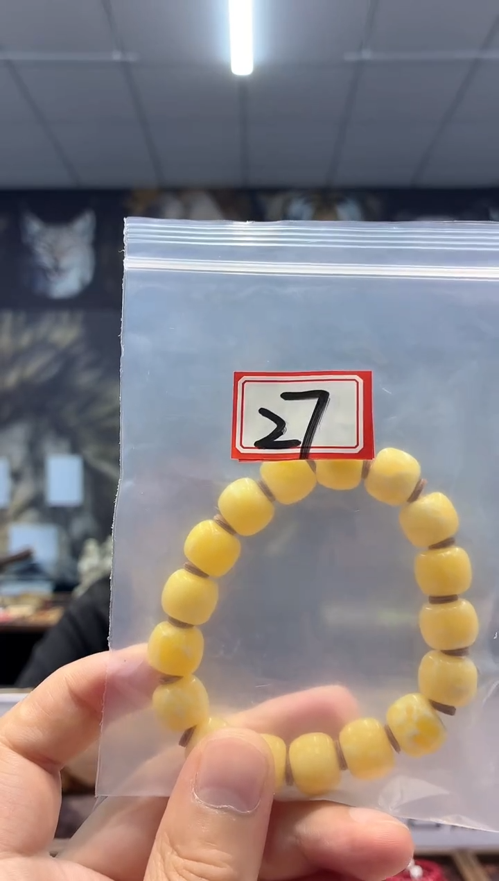 猛犸---------------027