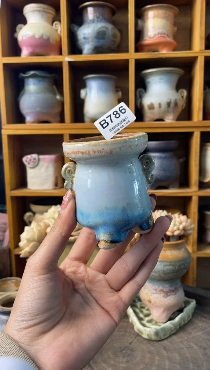 786内口5【多肉花盆多肉盆】