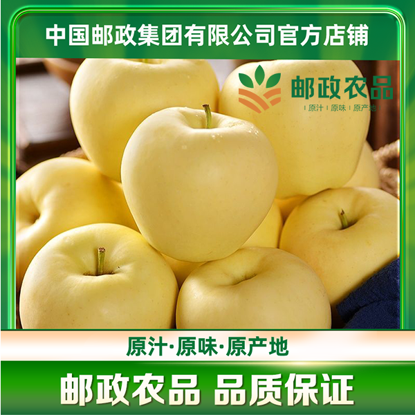 【邮政农品】河南灵宝 维纳斯苹果75-80mm 9枚精品装 口感脆甜