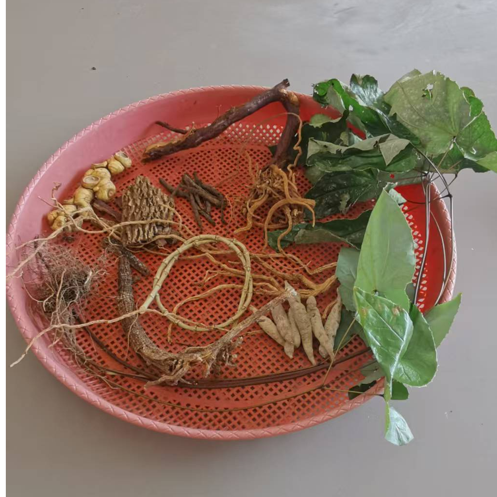 老杨党参20味泡酒原料