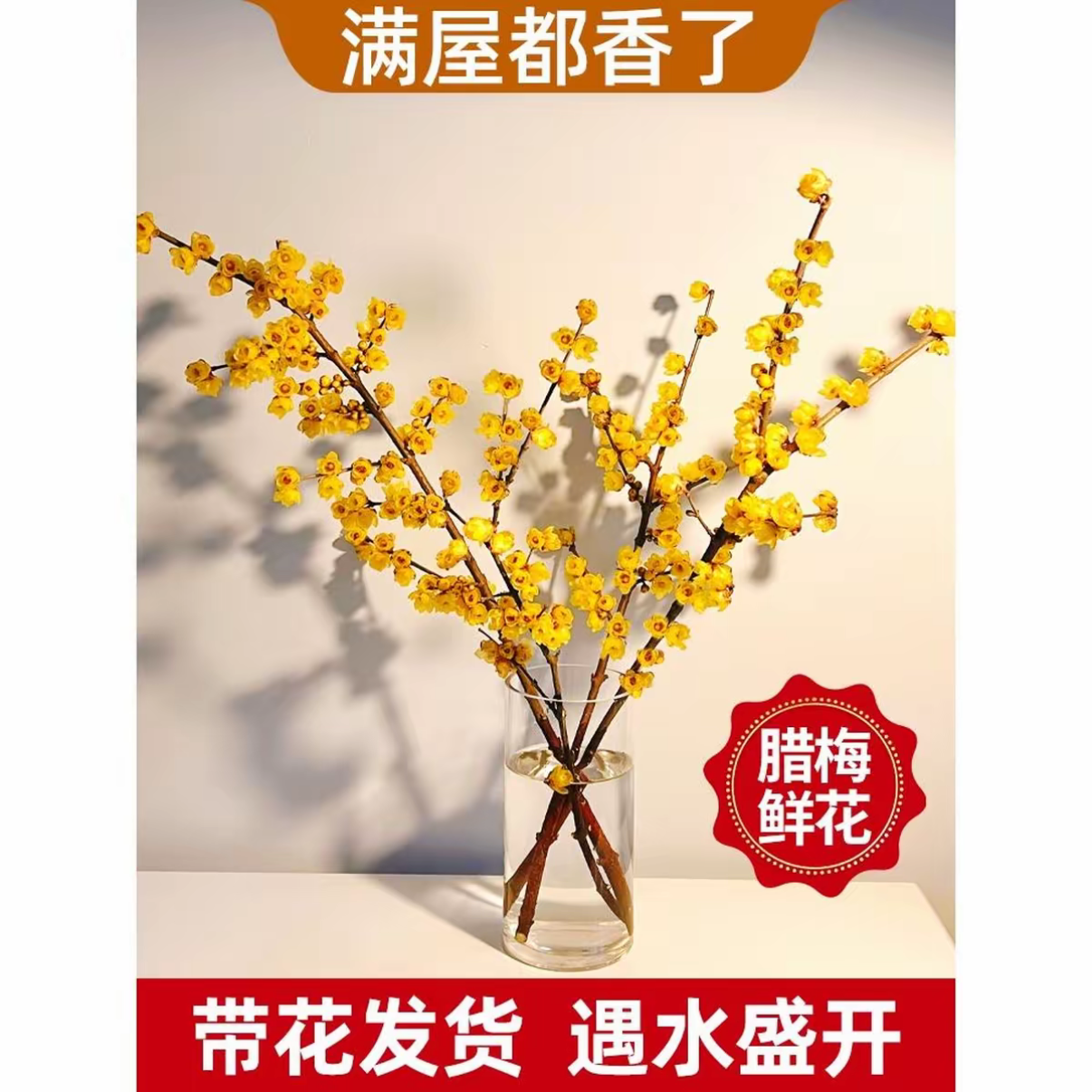 带花苞浓香型腊梅鲜切花水培植物遇水开花室内装饰花卉