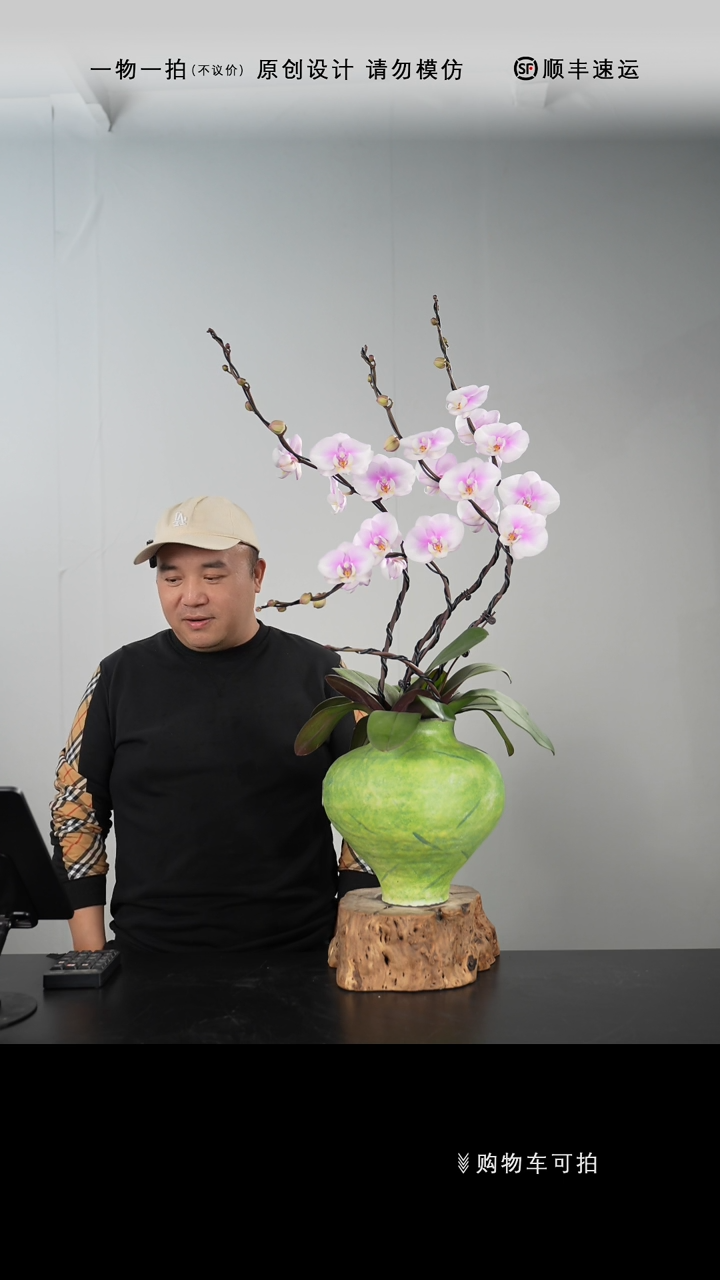 【闪购商品】086号链接【一物一拍】艺术盆景