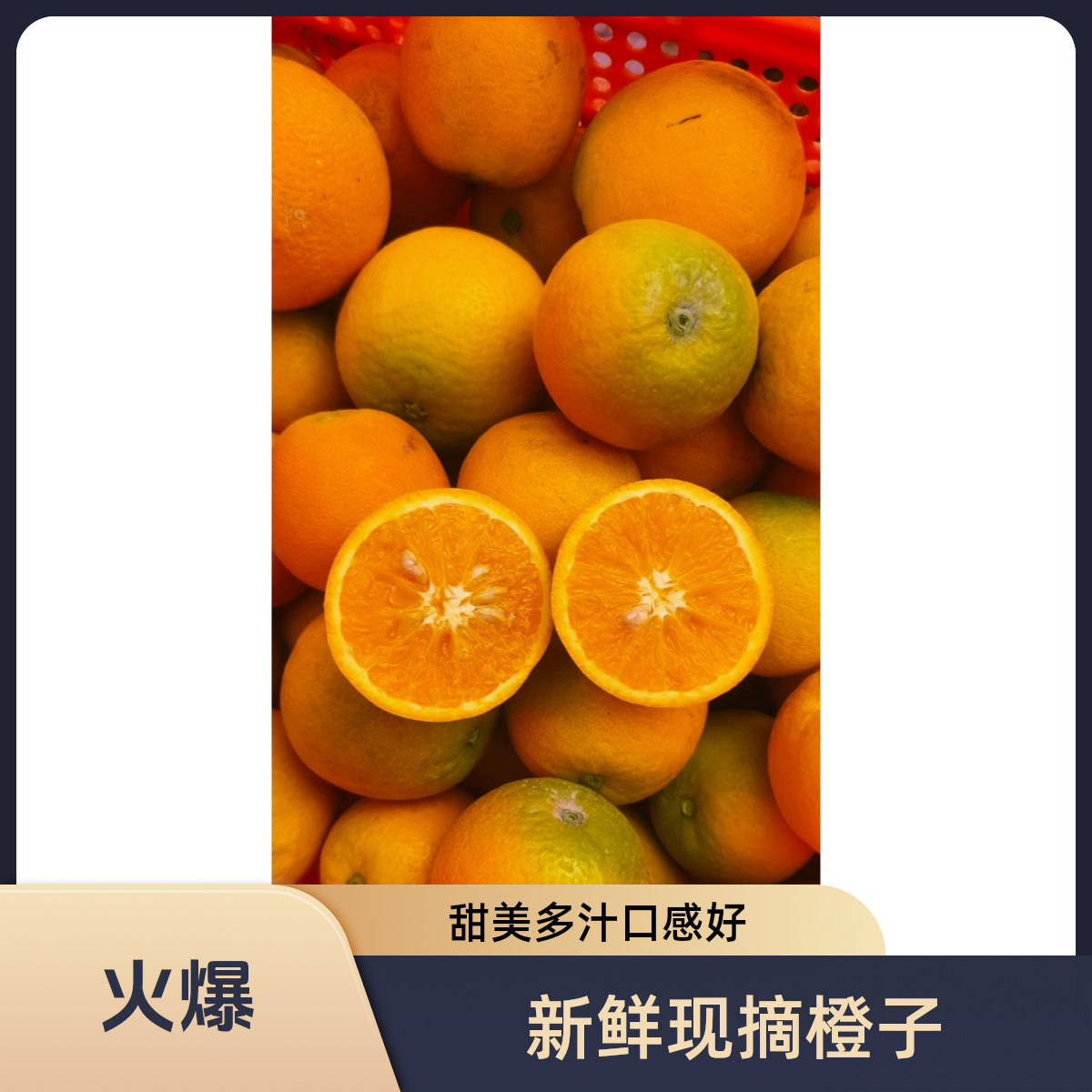 精选甜口伦晚橙
