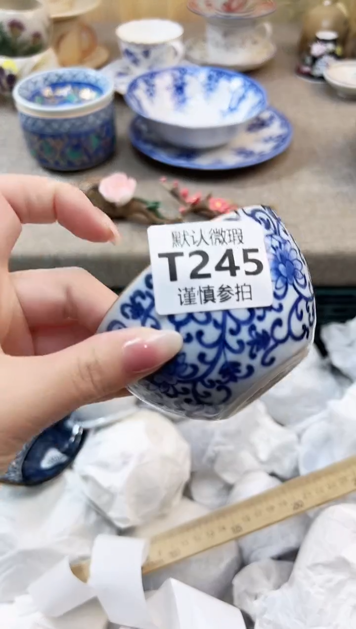 瓷片z***t  245              
