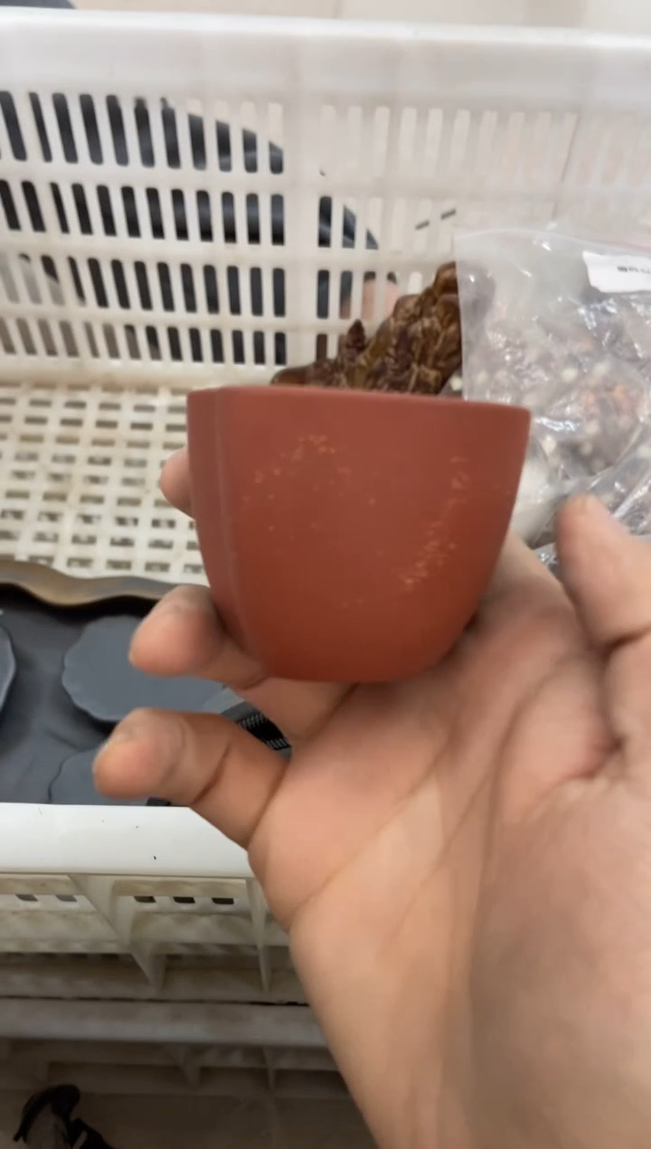 杯子瓷无运费险有瑕疵的摄影的产品有使用过的痕迹有点脏介意勿拍