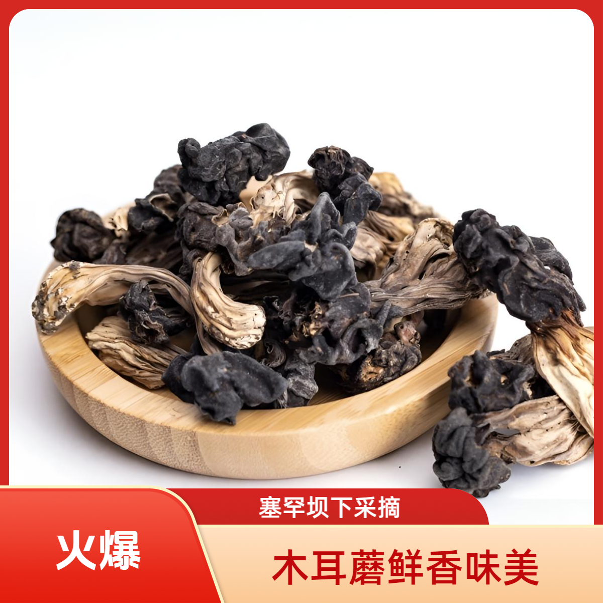 承德围场深山采摘木耳蘑菇