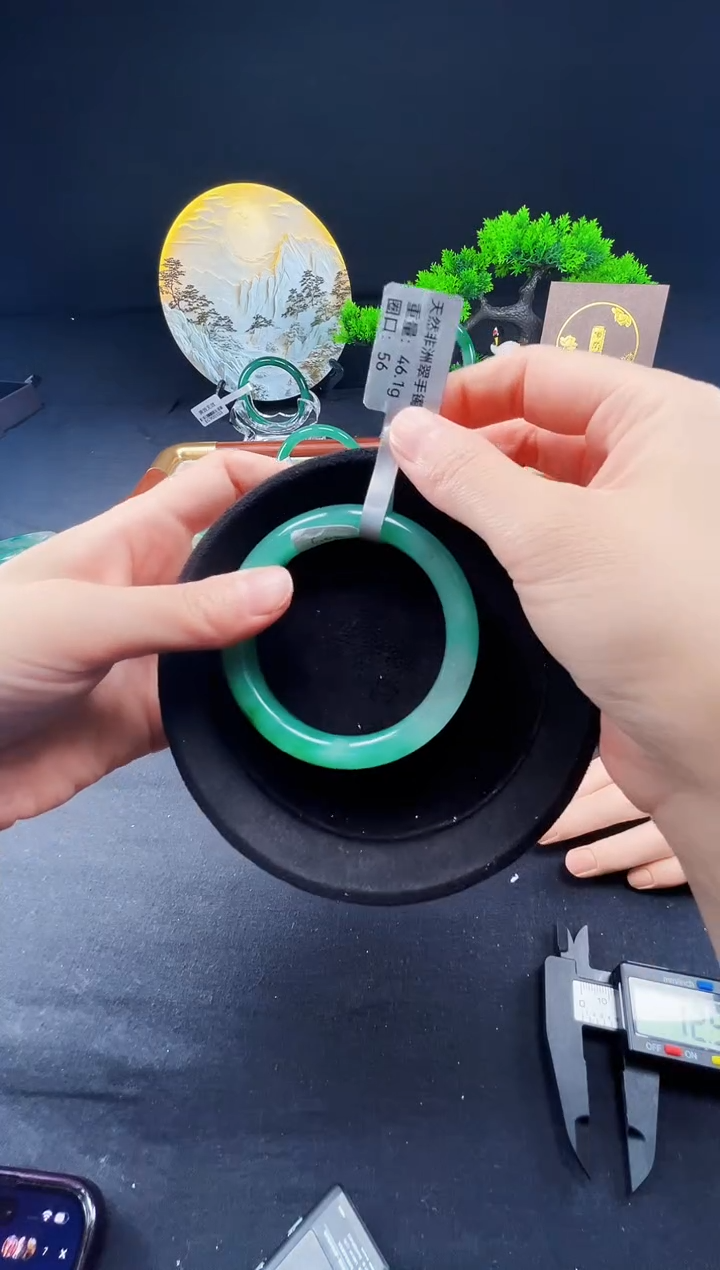 未镶嵌手镯石英质玉（非洲翠）真品上等纯天然非洲翠玉手镯石英质玉