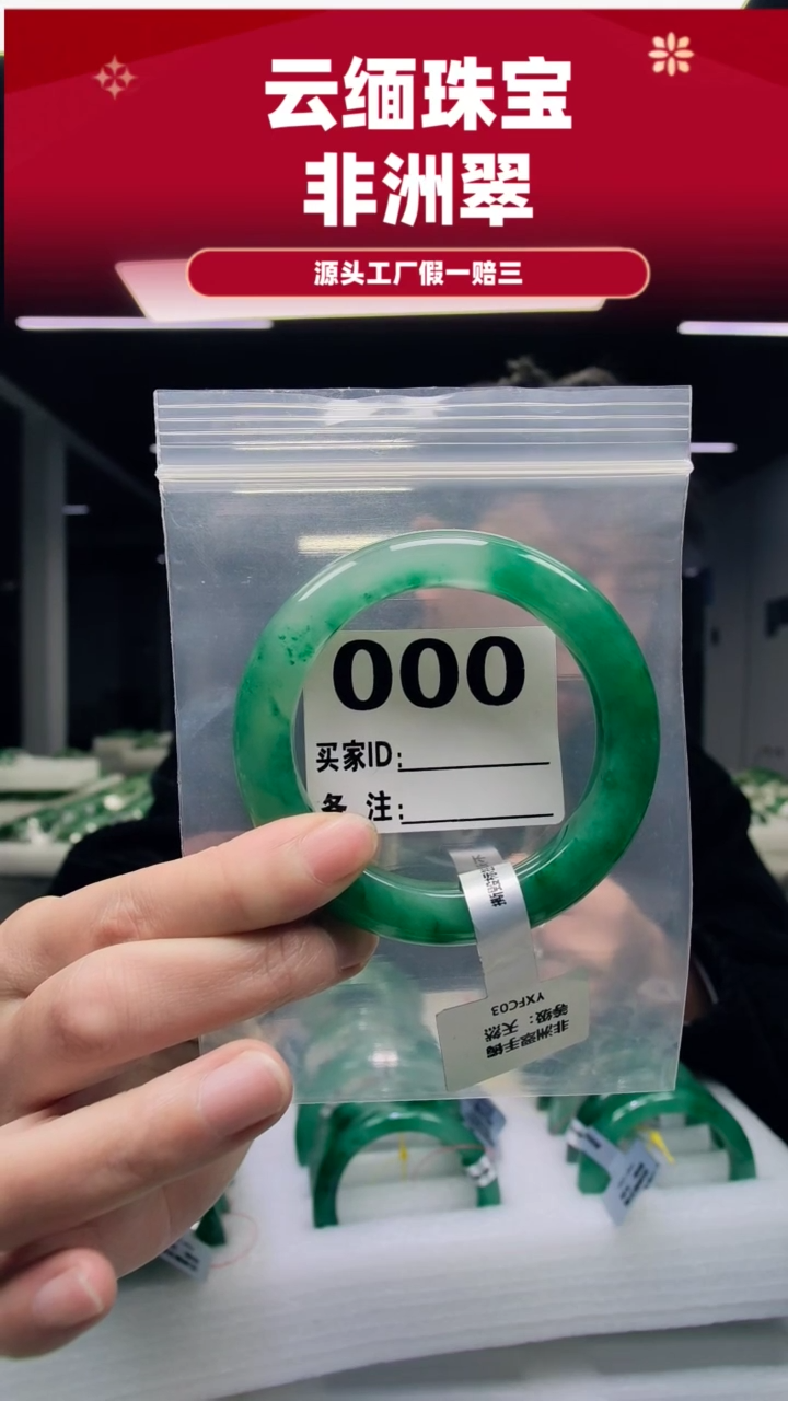 未镶嵌手镯石英质玉（非洲翠）57圈口000