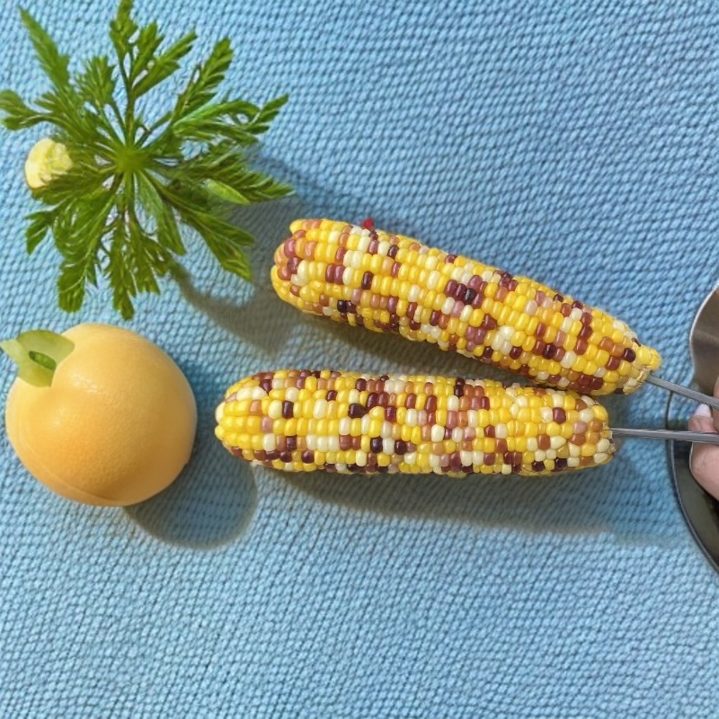 非转基因【个头不大】五彩甜糯玉米