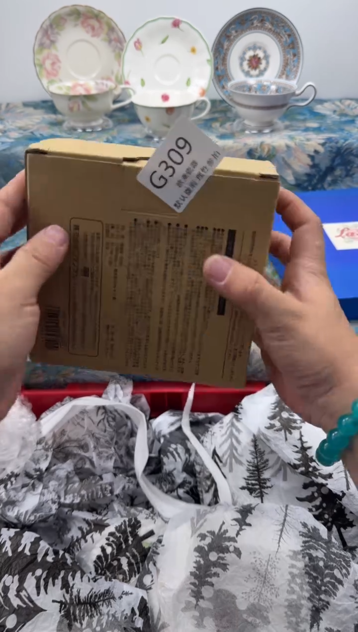 瓷片豆*           G309