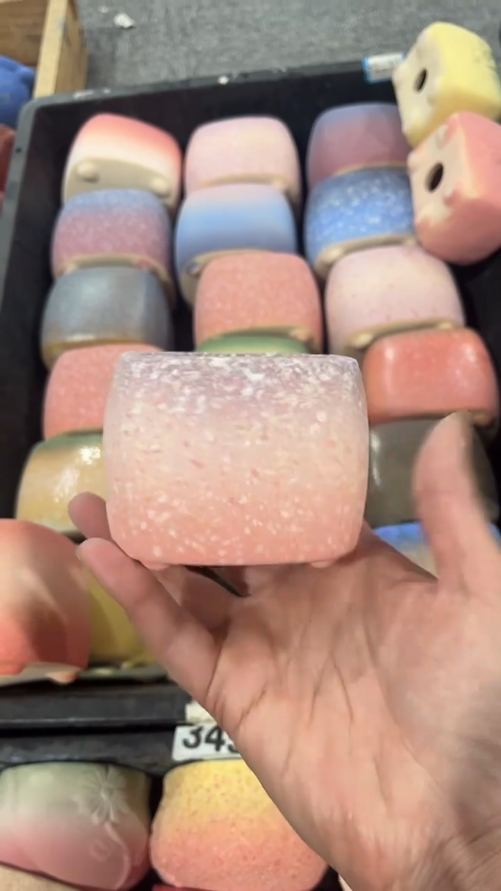 【闪购商品】红陶6*6