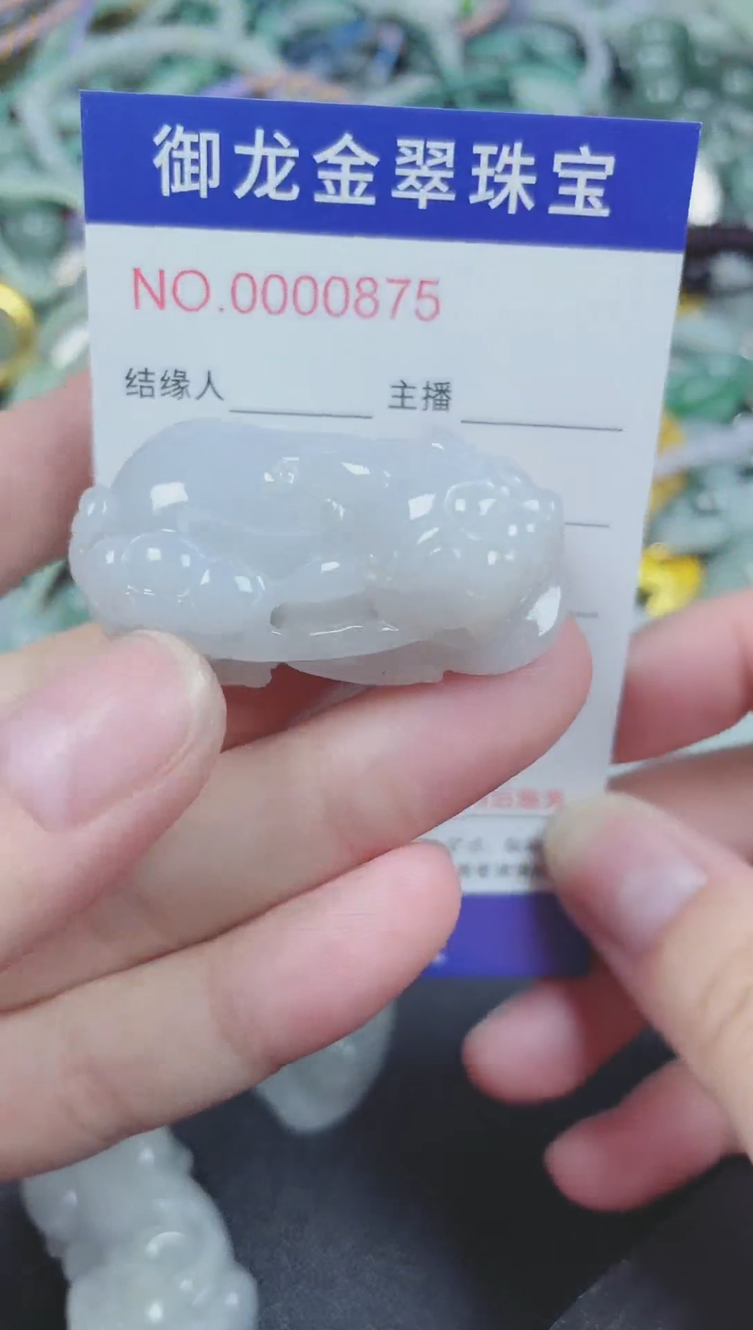 翡翠未镶嵌颈饰122