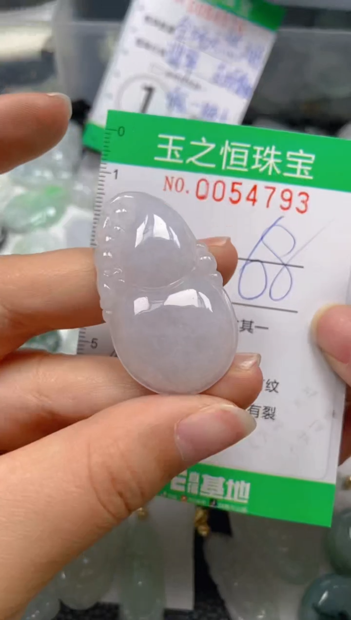 【闪购商品】翡翠未镶嵌颈饰闪购0054793