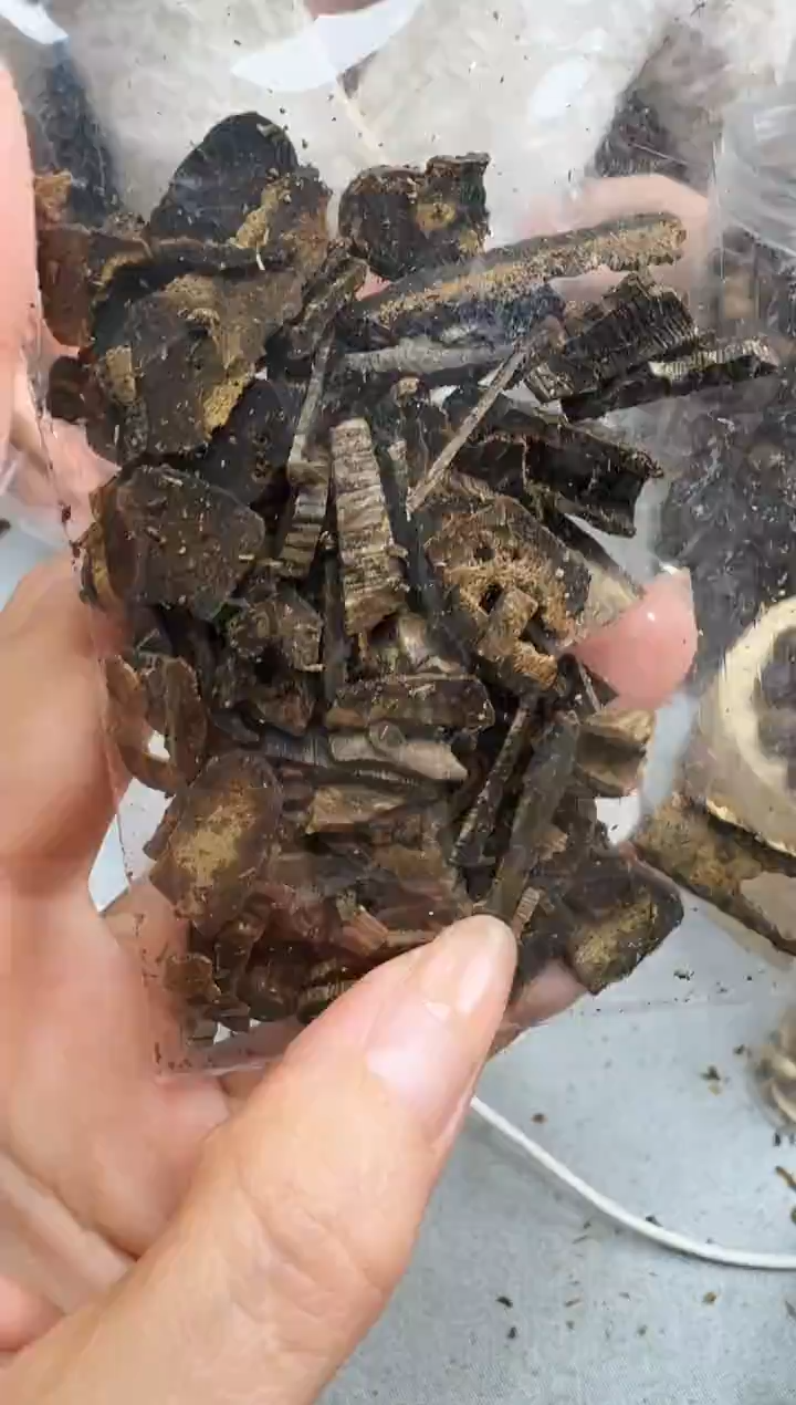 沉香沉香碎屑10克张勺子原材料静静沉香甄选多样性发一