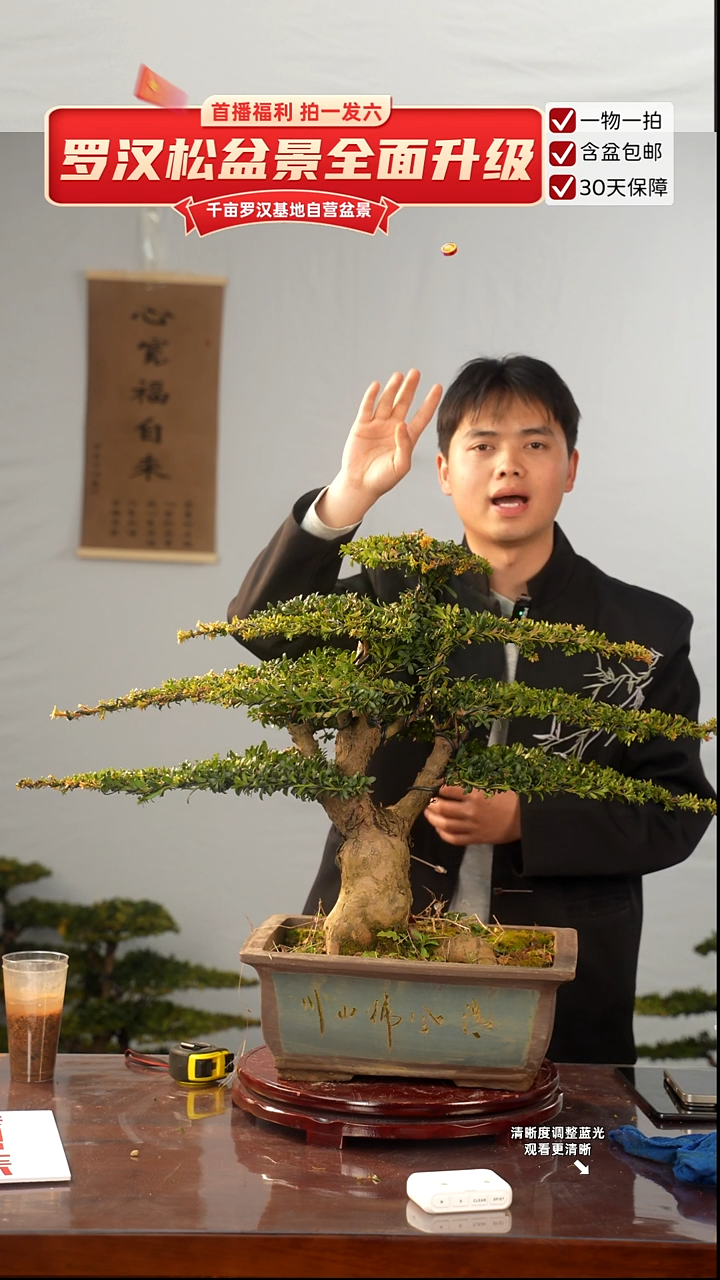 以实际为准专属于  大哥的闪购链接