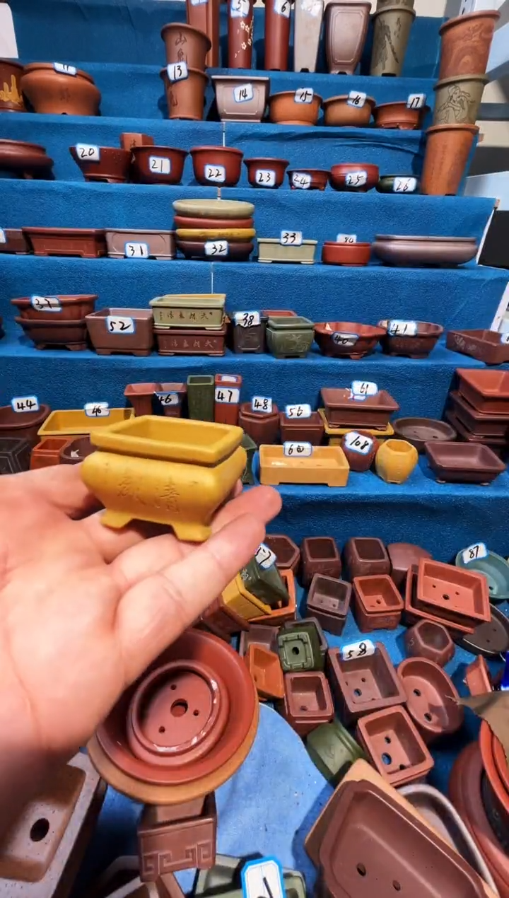 【闪购商品】紫砂紫砂花盆4*2.5