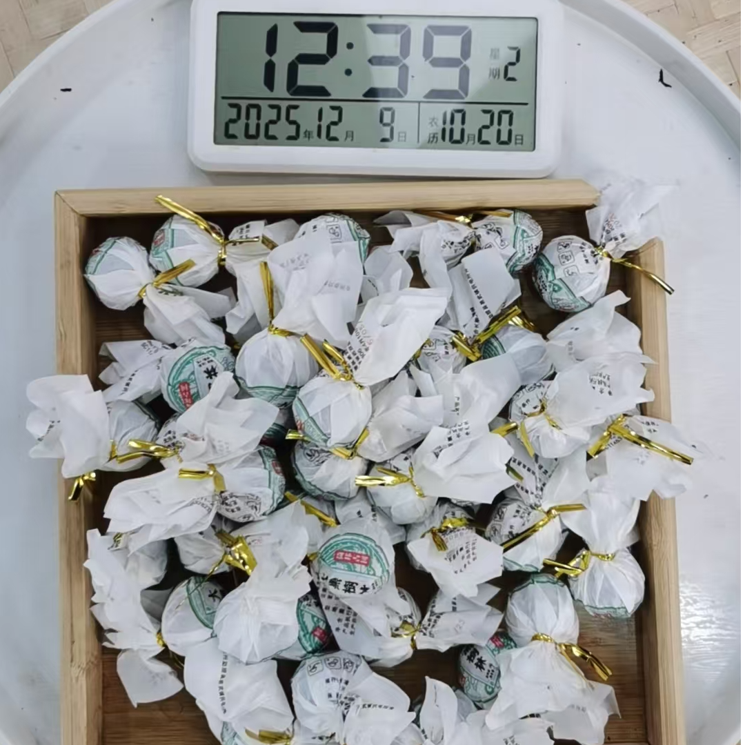 司丽严选-3676号2025年倚邦大黑树龄头春古树生茶龙珠12-09