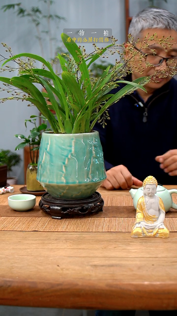 完全开放今*文心兰383