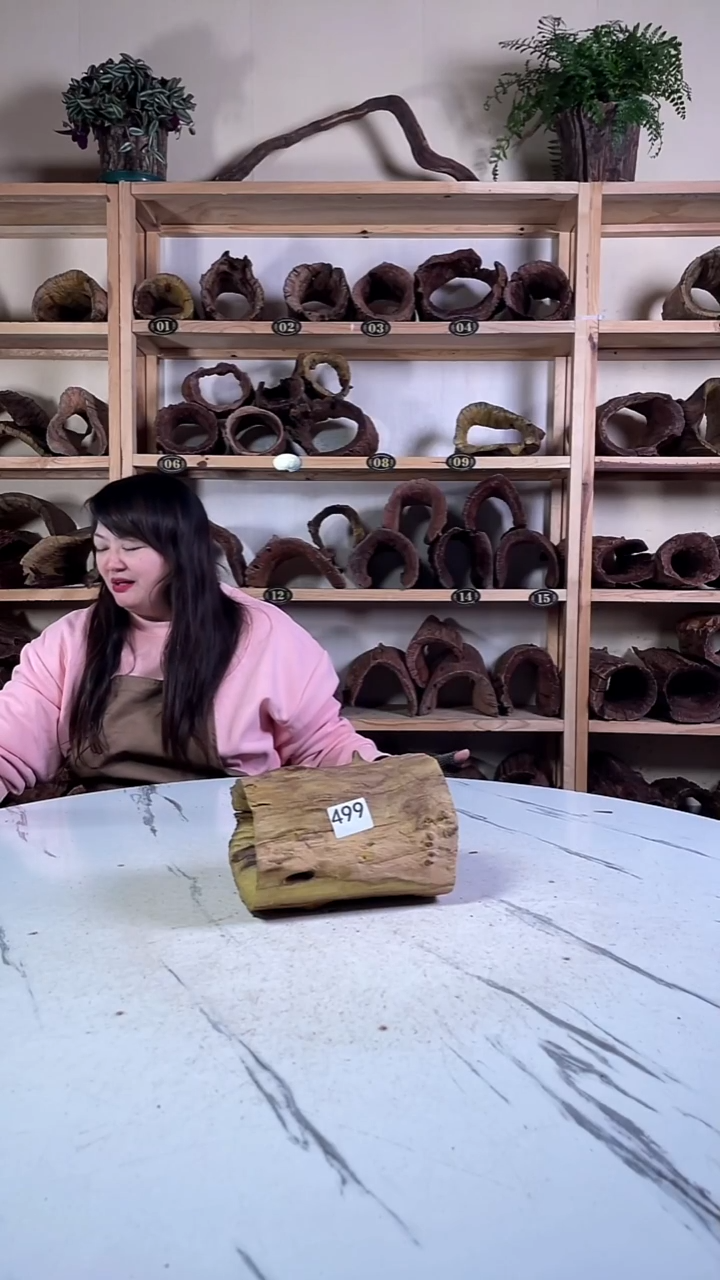 a***r云南紫柚木造景沉木499