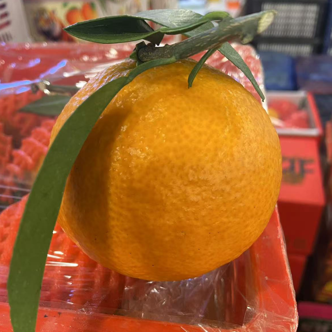 爱媛果冻橙，果冻般的口感