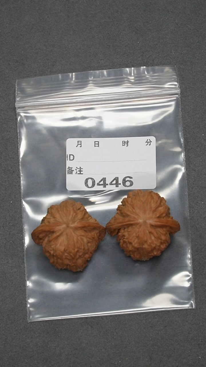 【闪购商品】文玩核桃把件40磨盘