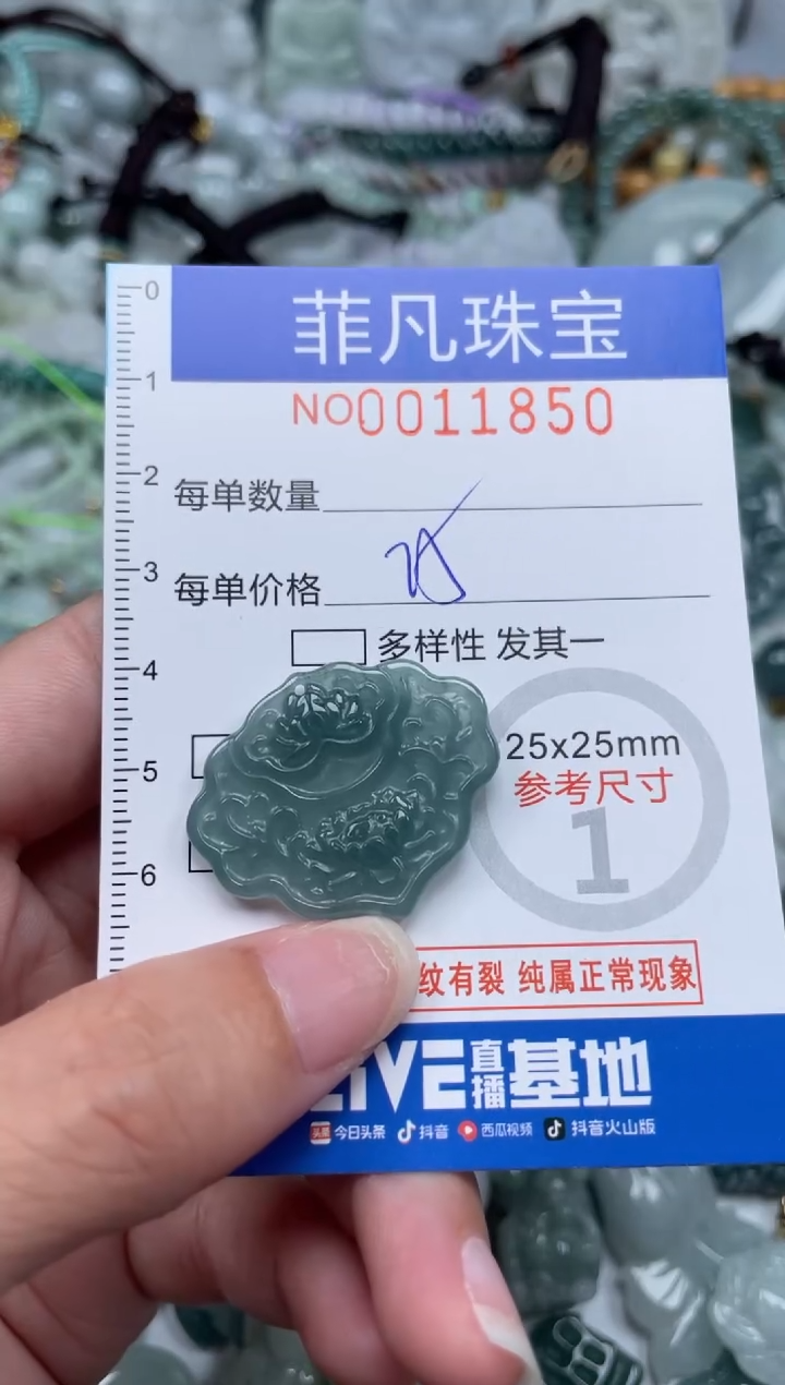 颈饰未镶嵌翡翠11850