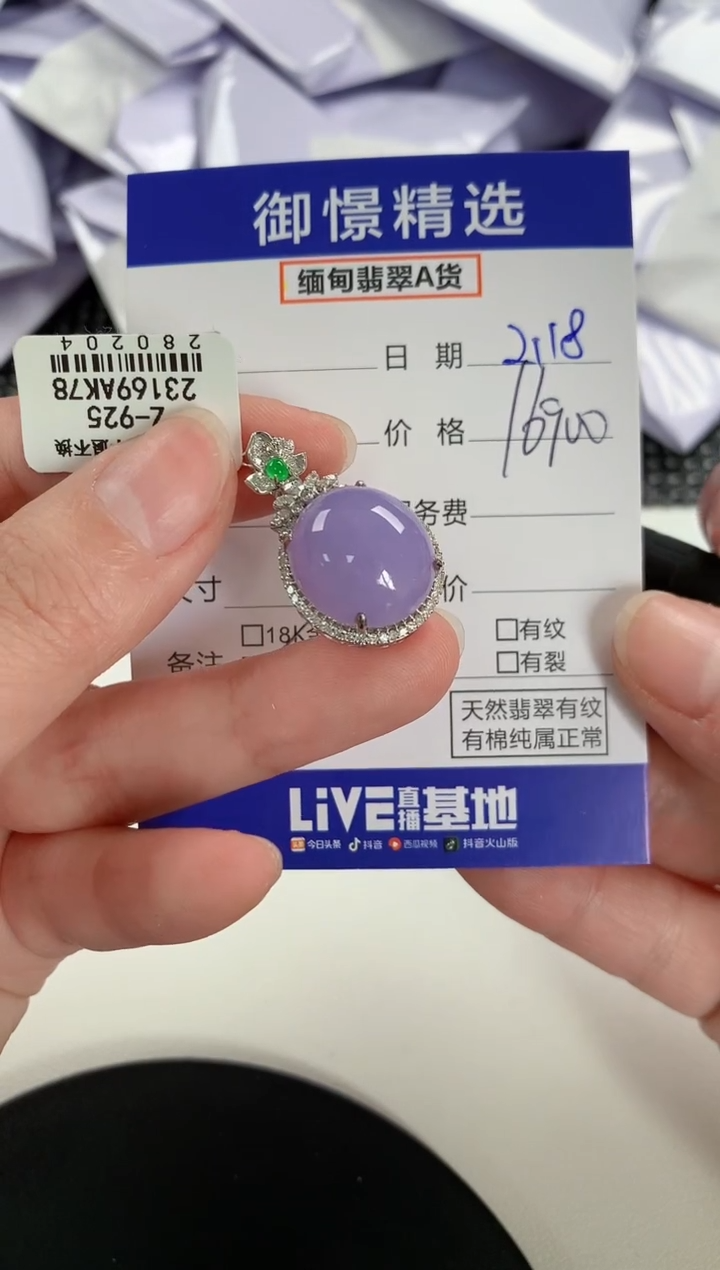 【闪购商品】翡翠颈饰18K金镶嵌66        