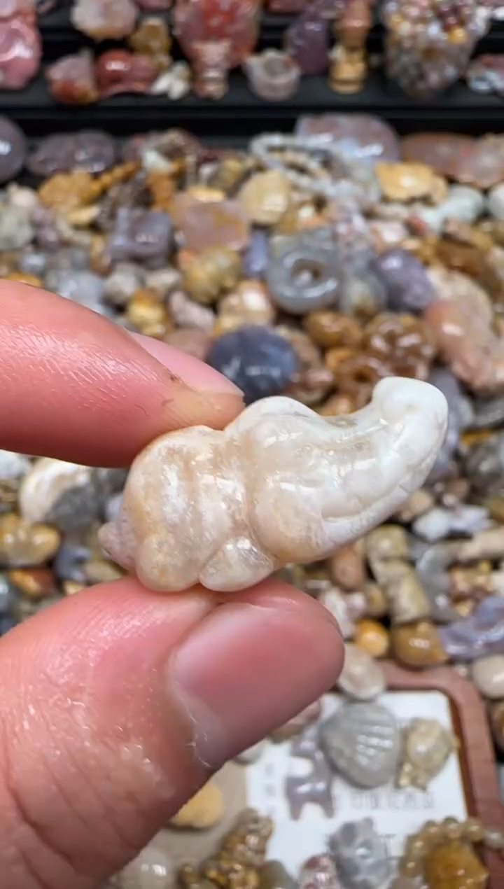 硅化珊瑚（珊瑚玉）未镶嵌颈饰624