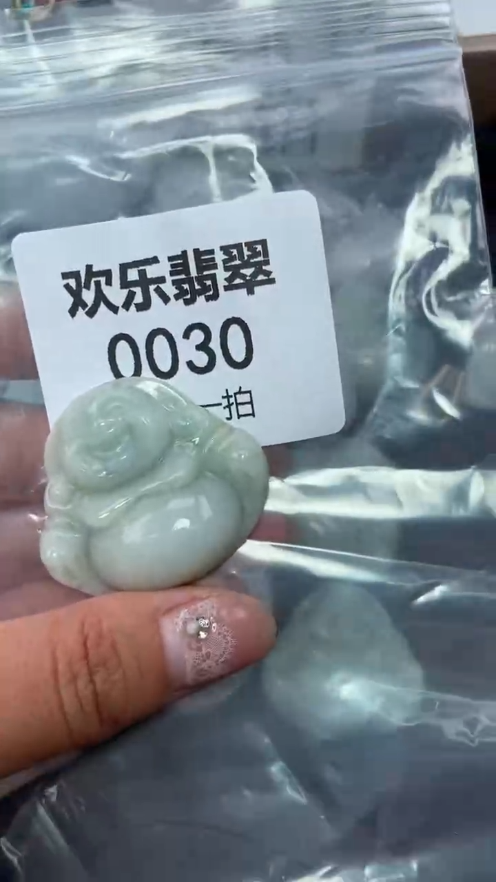 颈饰未镶嵌翡翠缅甸天然翡翠0030