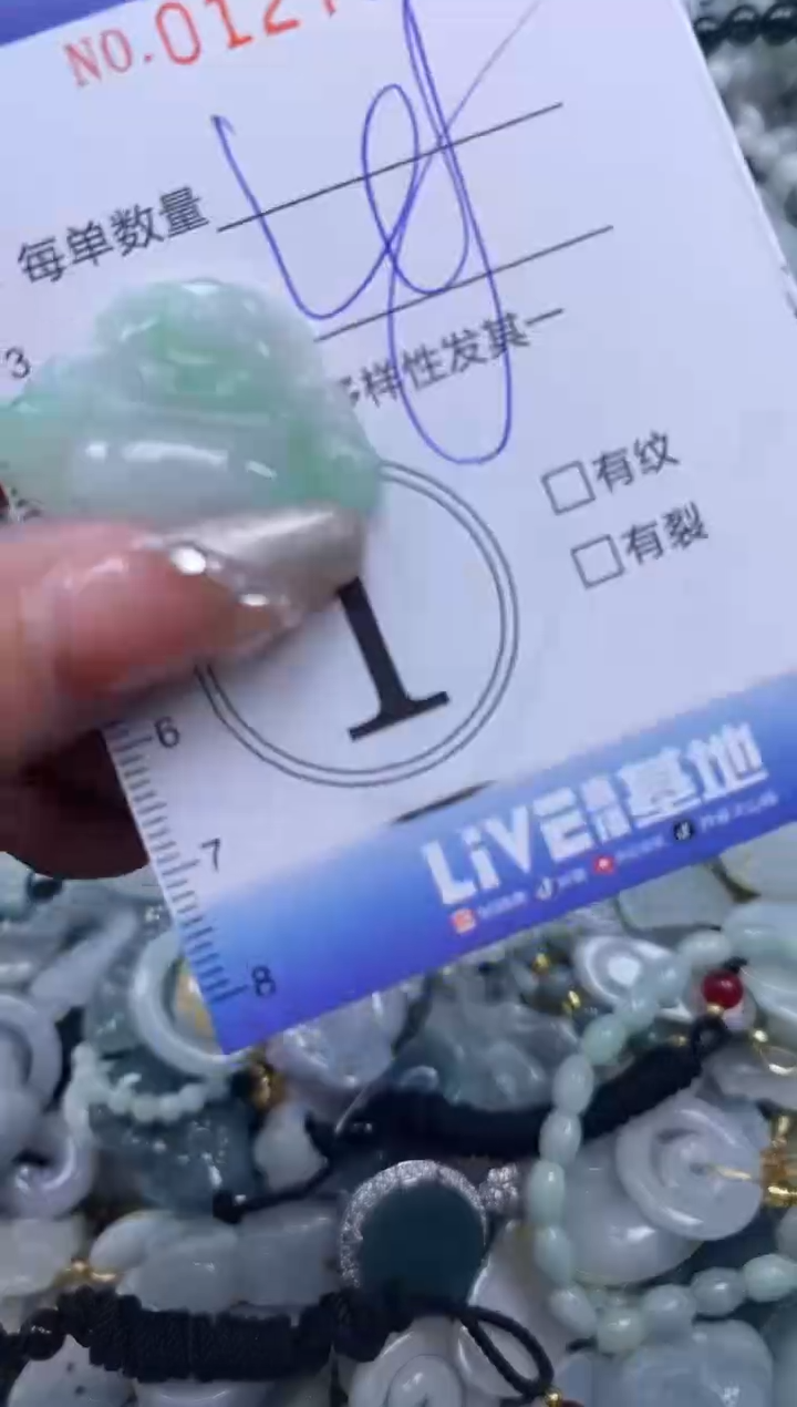 【闪购商品】翡翠颈饰未镶嵌闪购0127071